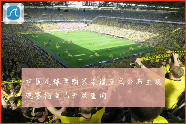 中国足球票购买渠道正式公布主场观赛指南已开放查询